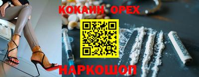 дмт Будённовск