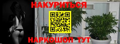 дмт Будённовск