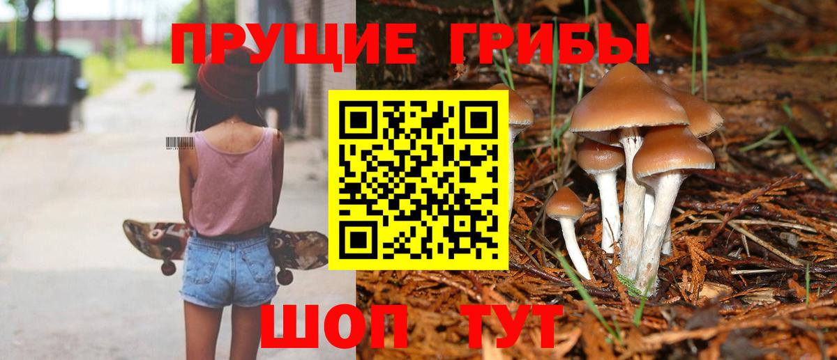 Обь  Галлюциногенные грибы мицелий  Галлюциногенные грибы MAGIC MUSHROOMS  Вход с VPN 